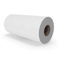 Papírový program